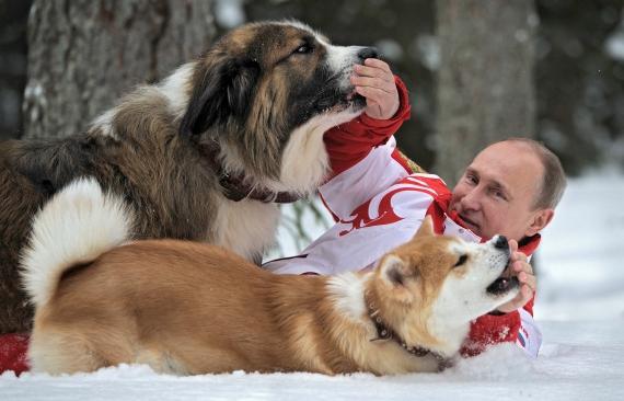 Mascotas del jefe de Rusia. Perros de Putin