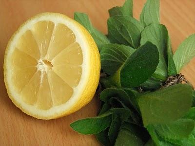 Mermelada de menta y limón: receta