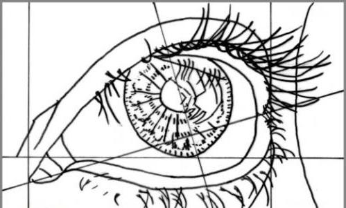 Cómo dibujar un ojo de lápiz en etapas
